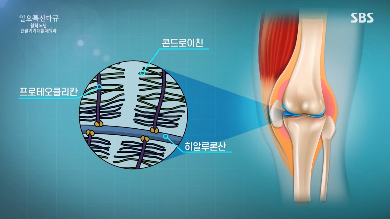 일요특선 다큐멘터리.E343.240304p-NEXT.mp4_20240305_202406.985.jpg