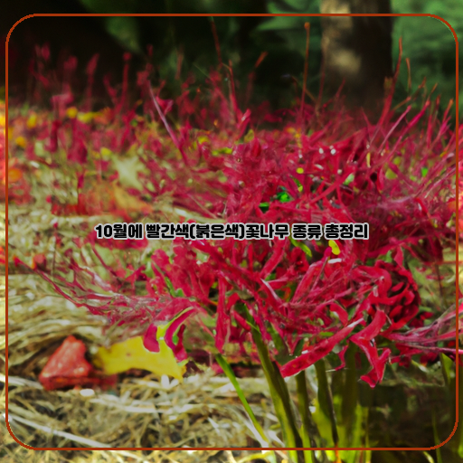  단풍잎에 빛나는 빨간색 꽃나무, 10월에 만날 수 있는 종류
