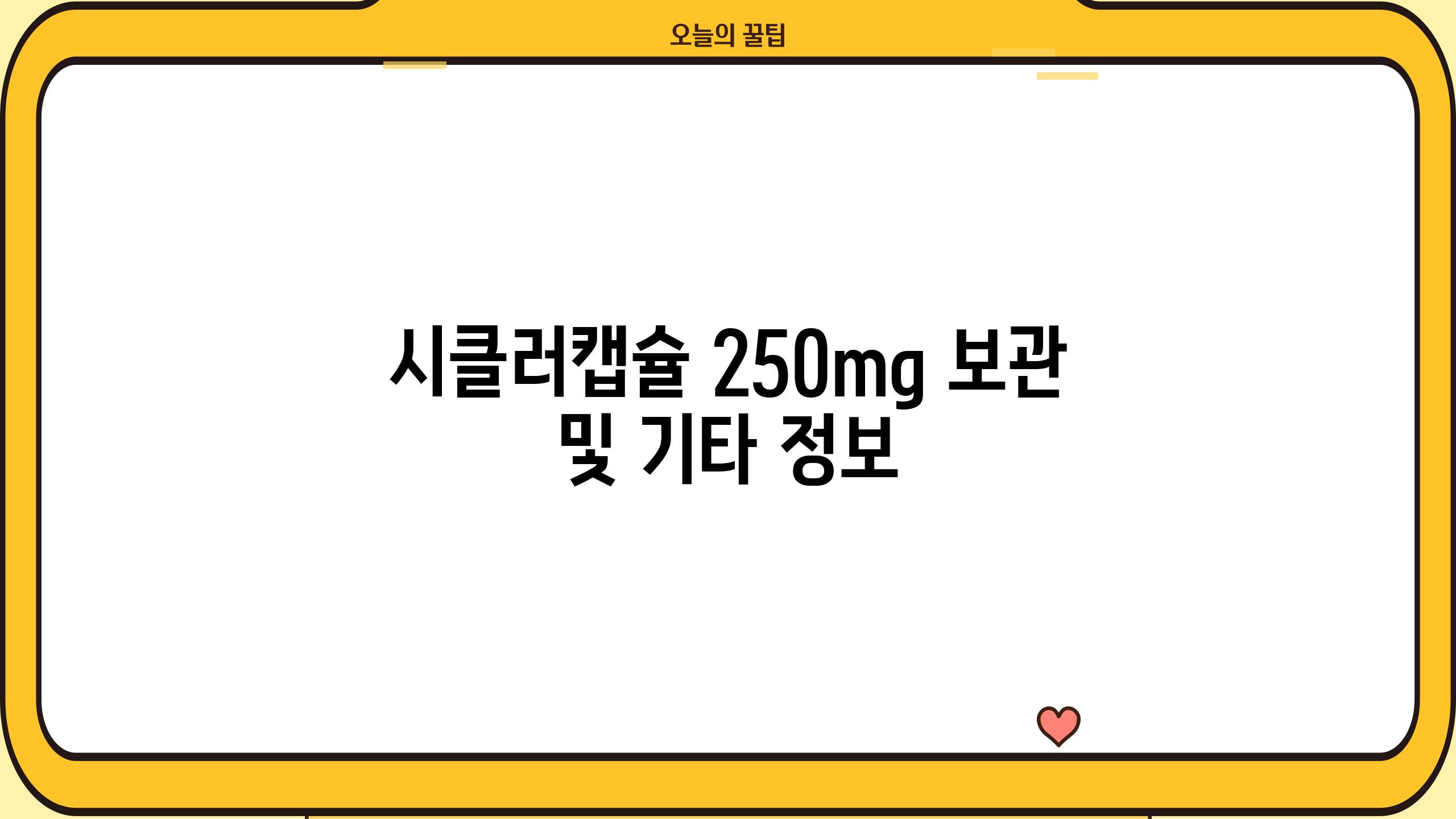 시클러캡슐 250mg 보관 및 기타 정보