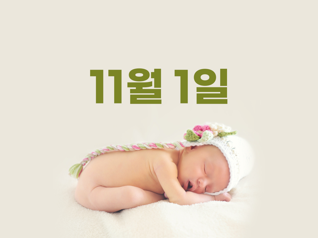 11월 1일 천주교 남자세례명 18가지