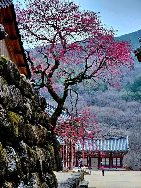 화엄경 이란 해석 독해 구절_2