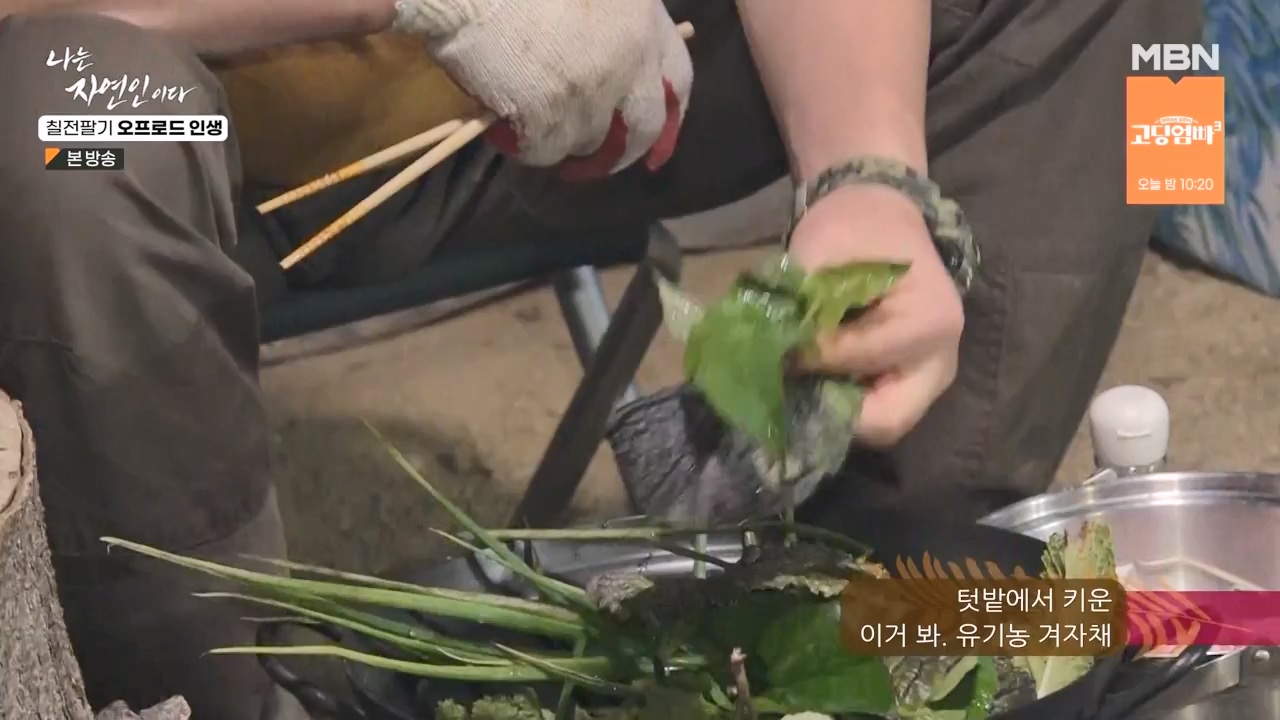 나는 자연인이다.E557.230608p-NEXT.mp4_20230608_194916.172.jpg