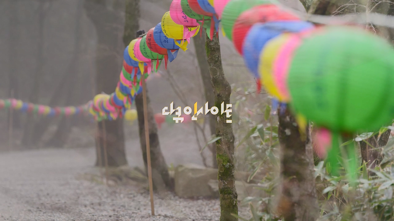 다큐 인사이트.E185.240517p-NEXT.mp4_20240517_202634.705.jpg