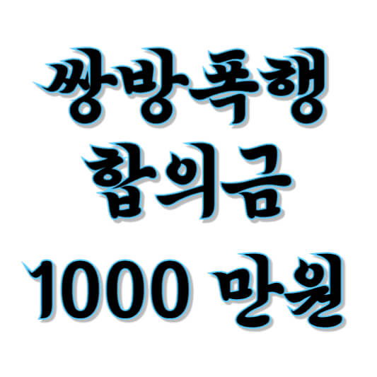 쌍방폭행 합의금 1000만원