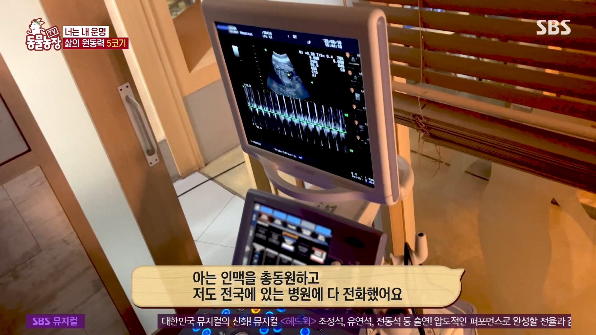 TV 동물농장.E1161.240303p-NEXT.mp4_20240303_172247.517.jpg