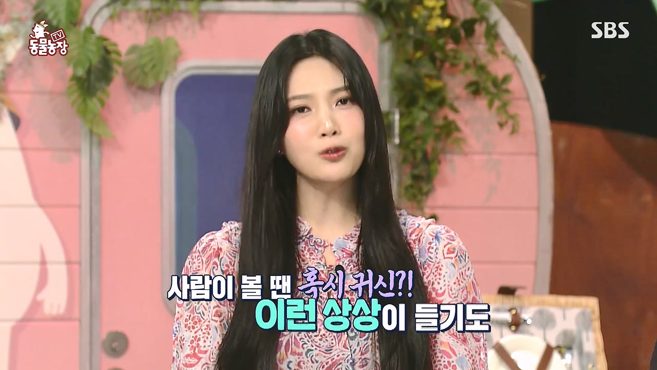 TV 동물농장.E1181.240722p-NEXT.mp4_20240721_165535.254.jpg