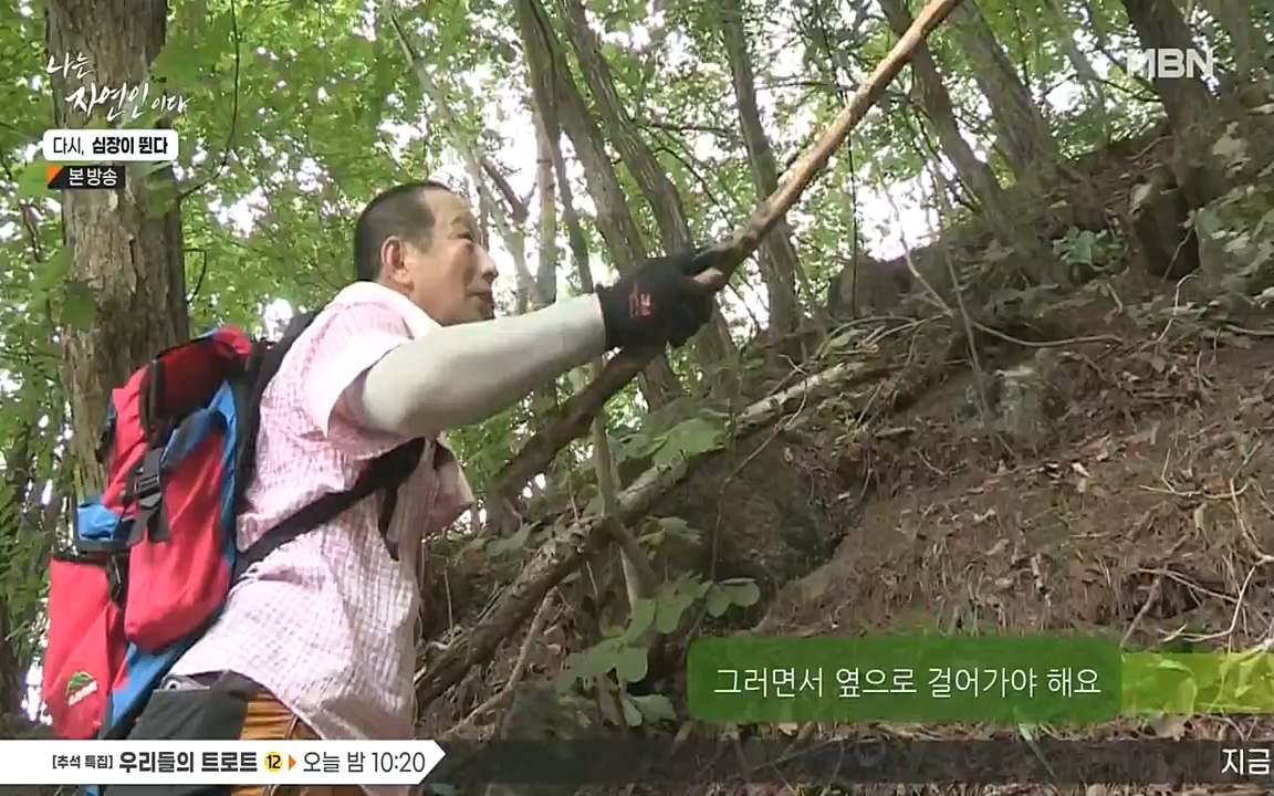 나는 자연인이다.E519.220915p-NEXT.mp4_20220915_201131.109.jpg