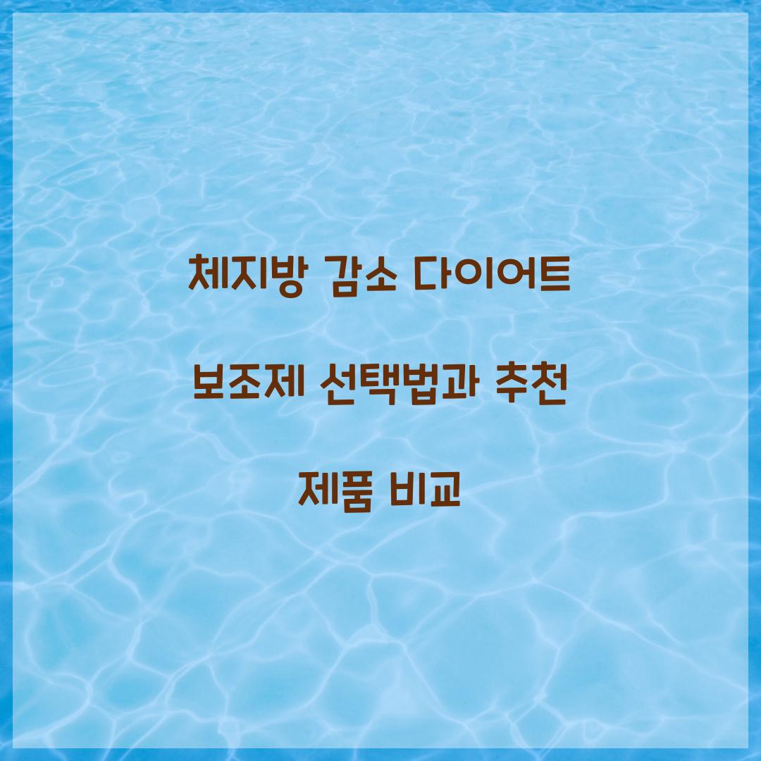 체지방 감소 다이어트 보조제 선택법
