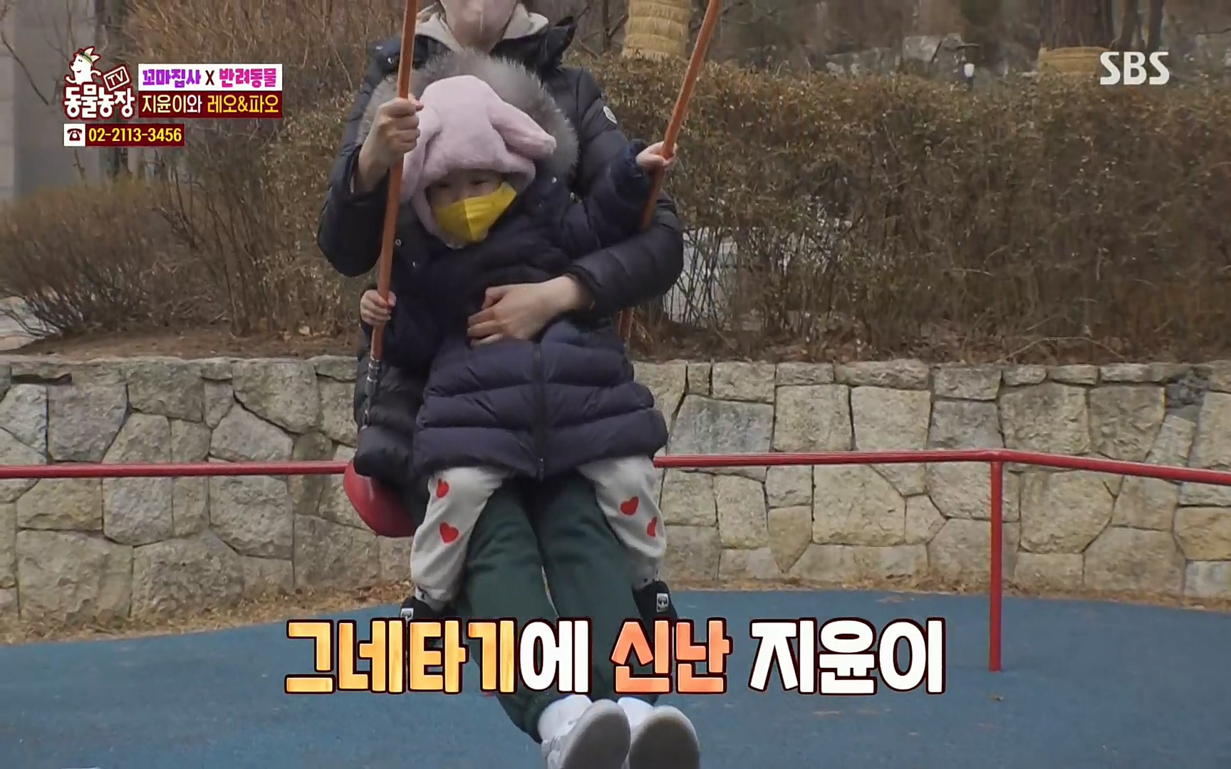 TV 동물농장.E1061.220320p.H264-F1RST.mp4_20220320_183614.619.jpg