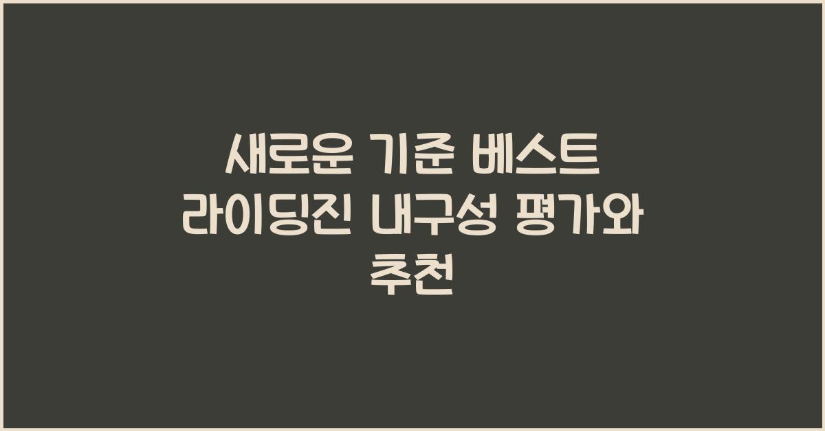 라이딩진 내구성
