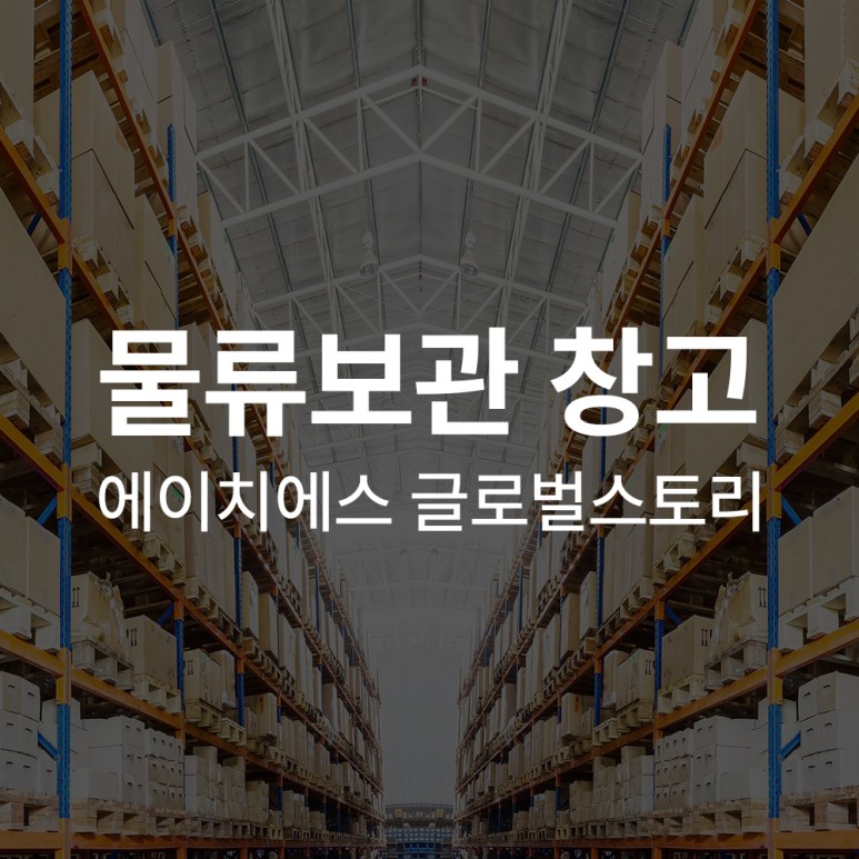 에이치에스글로벌 이미지
