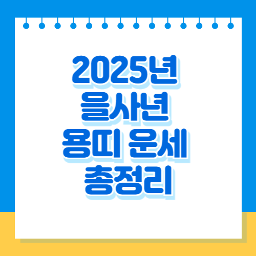 2025년 을사년 용띠 운세 재물운 건강운 궁합 총정리