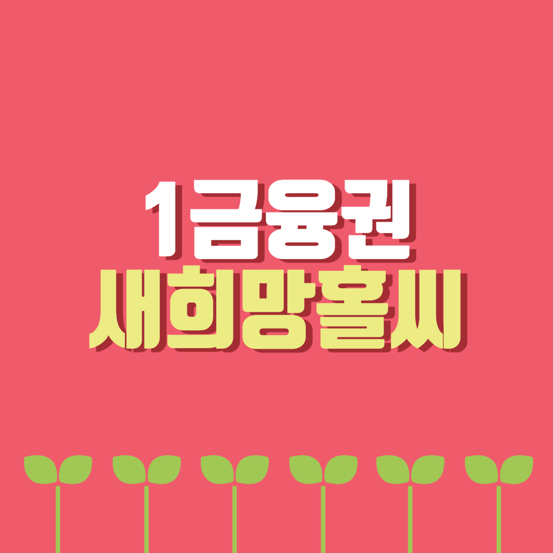  저신용자를 위한 1금융권 새희망홀씨대출 자격조건