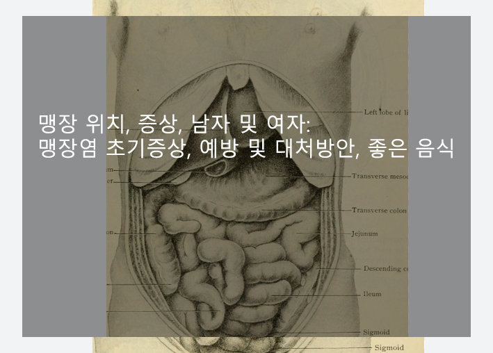 맹장 위치, 증상, 남자 및 여자: 맹장염 초기증상, 예방 및 대처방안, 좋은 음식