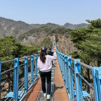 원주 가볼만한곳 베스트10 여행 코스 맛집_5