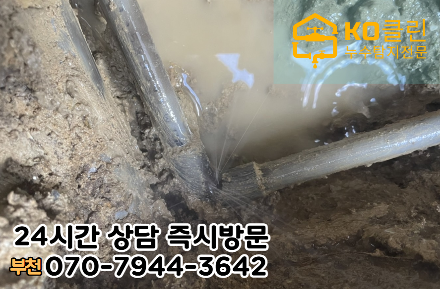 신흥동 아파트 빌라 상가건물 화장실·욕실 누수3