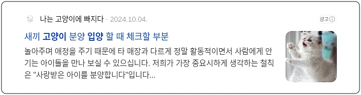 고양이 입양_2_subsection