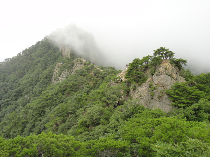  영덕 팔각산 [팔각산장~팔각산~산성골]