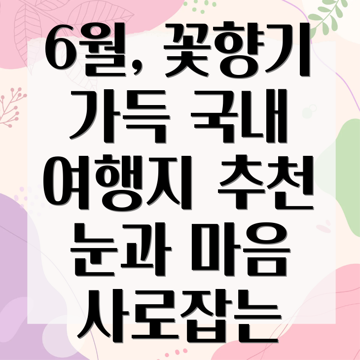 6월 국내 여행지