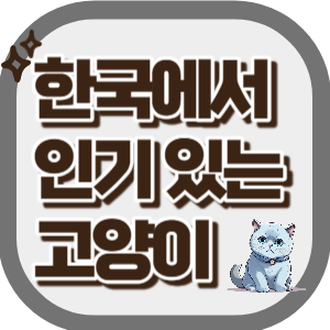 한국에서-인기-있는-고양이-섬네일