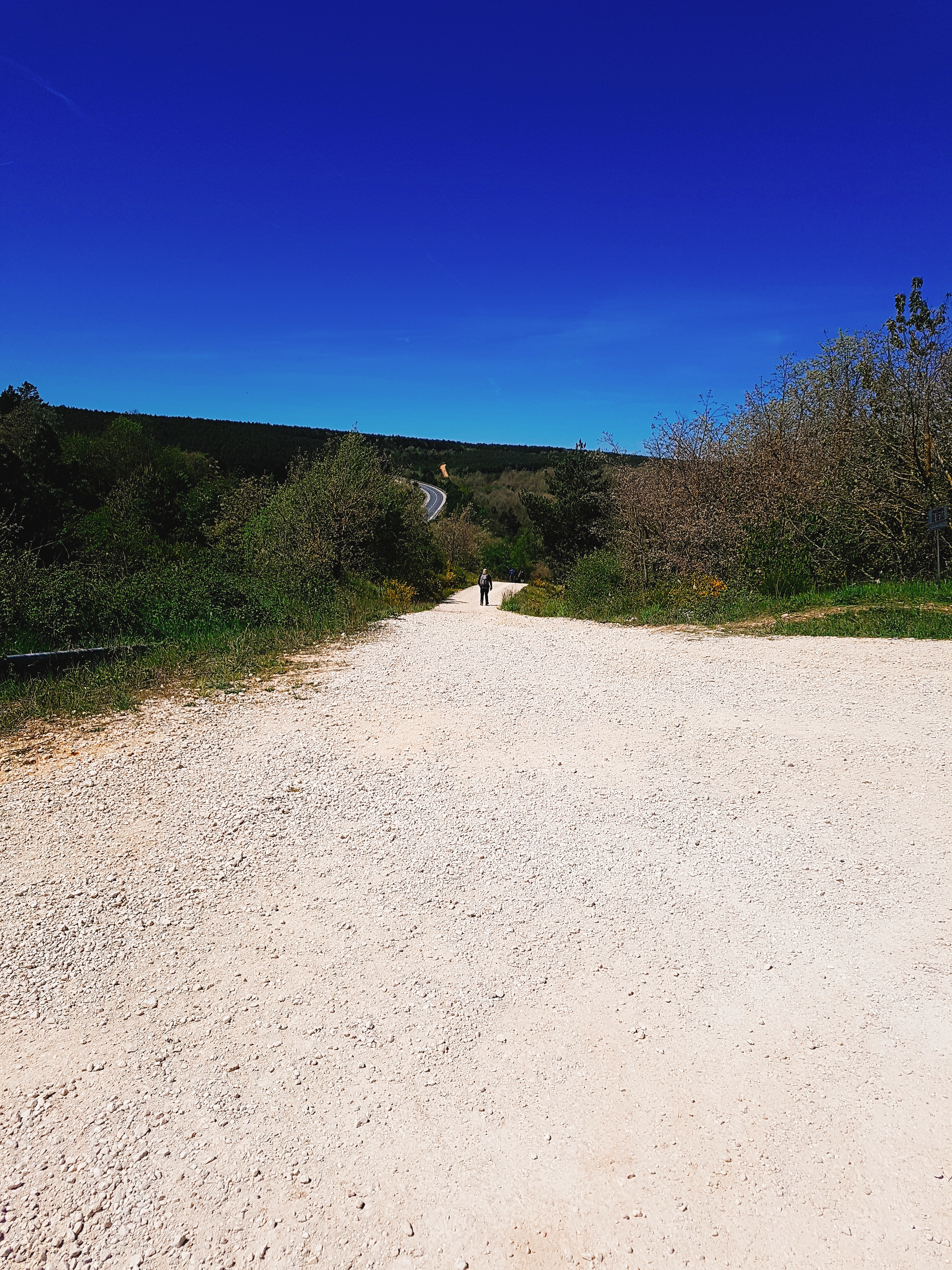  Camino de Santiago - 190530, 8일차 [카스틸델가도 → 오르테가]