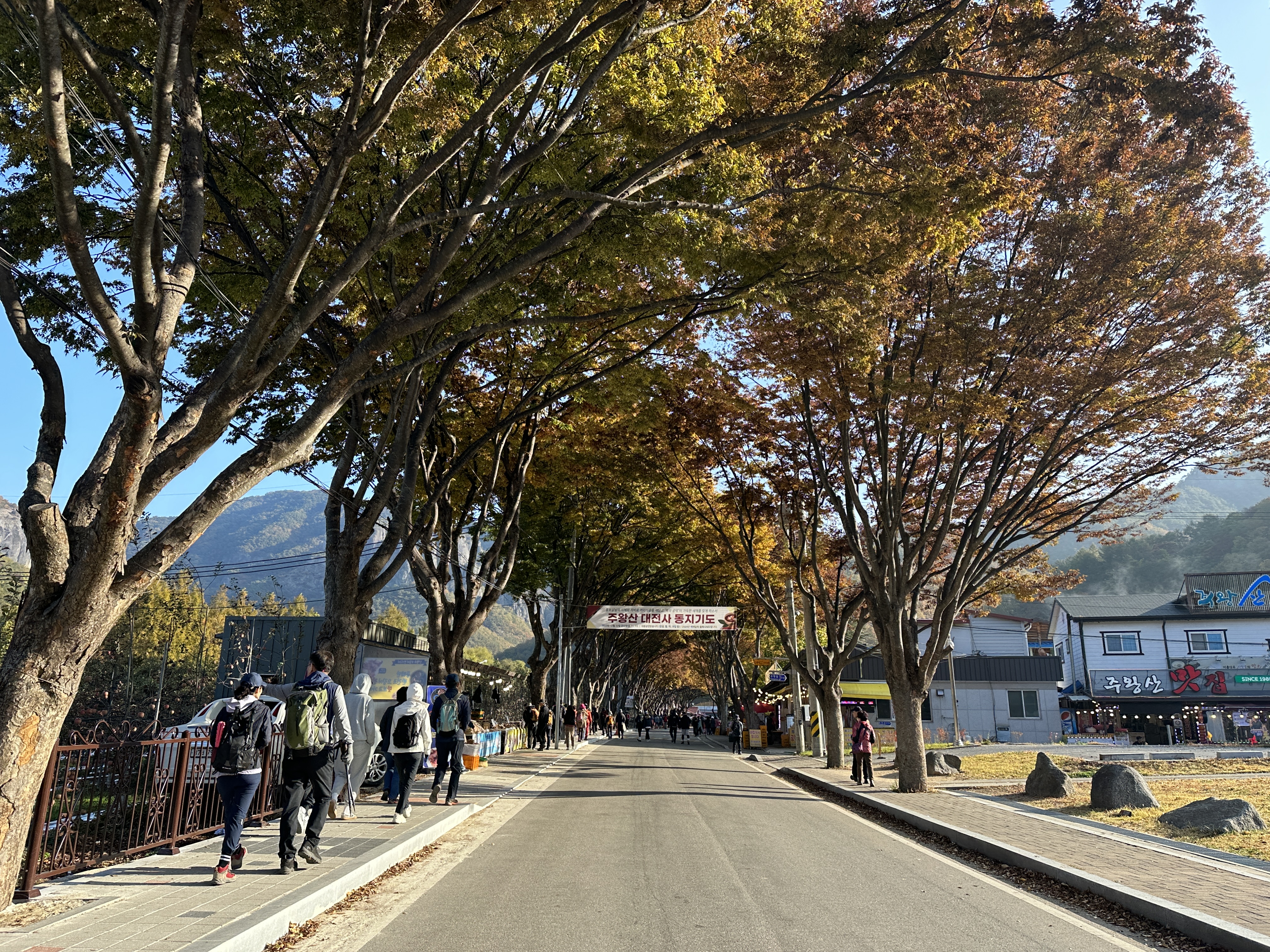 주왕산 가을산행 등산코스