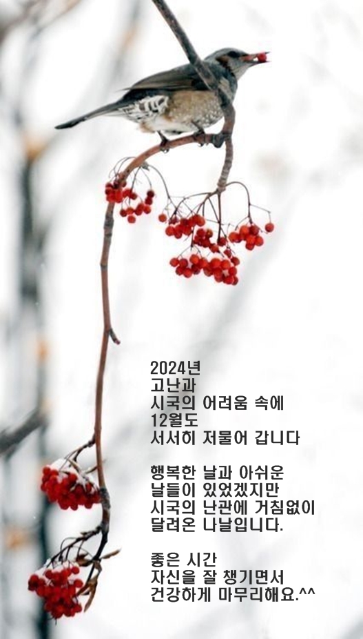 별빛인생 이미지
