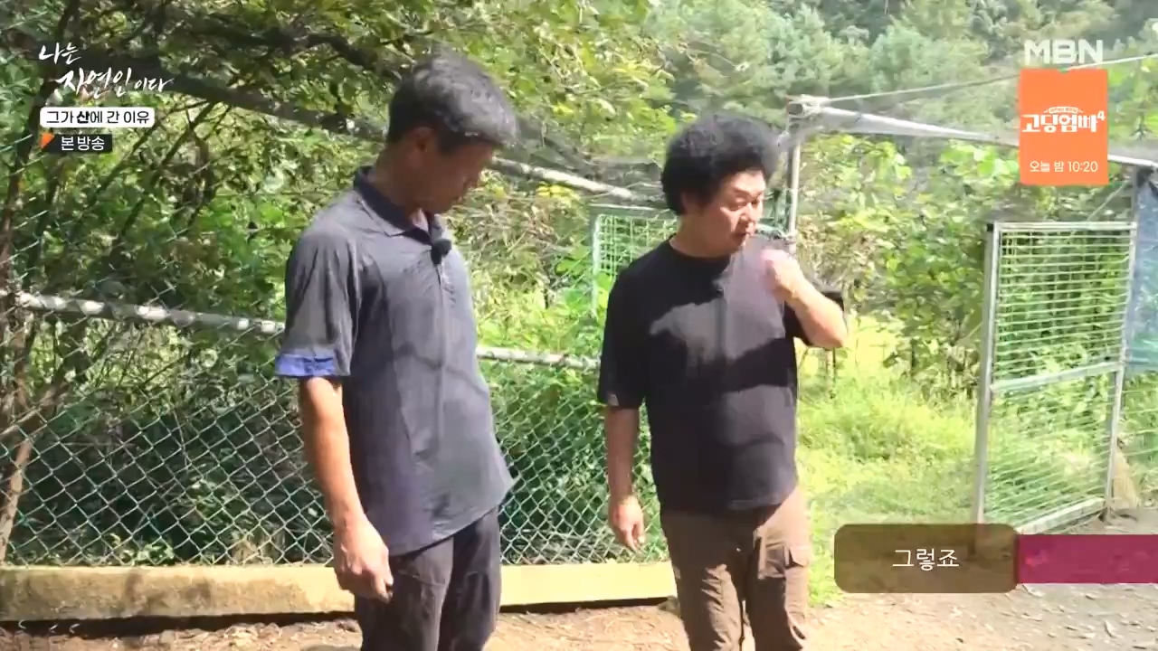 나는 자연인이다.E575.231012p-NEXT.mp4_20231012_200958.683.jpg