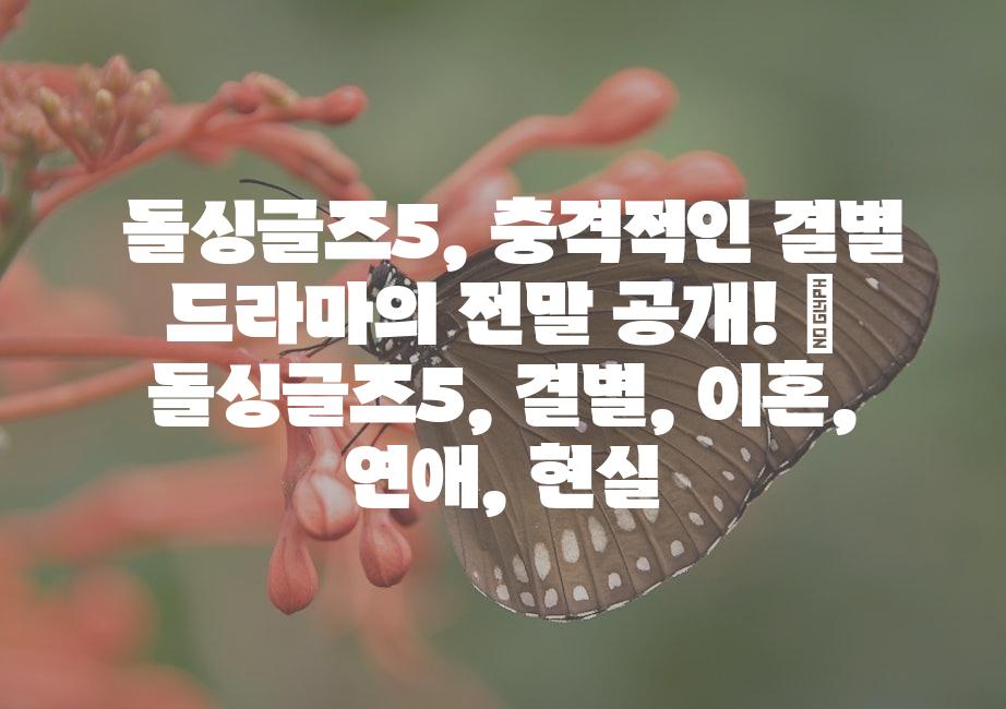 샘플 (51)