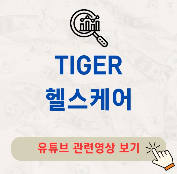 TIGER 헬스케어 주가 배당금 분배금 배당