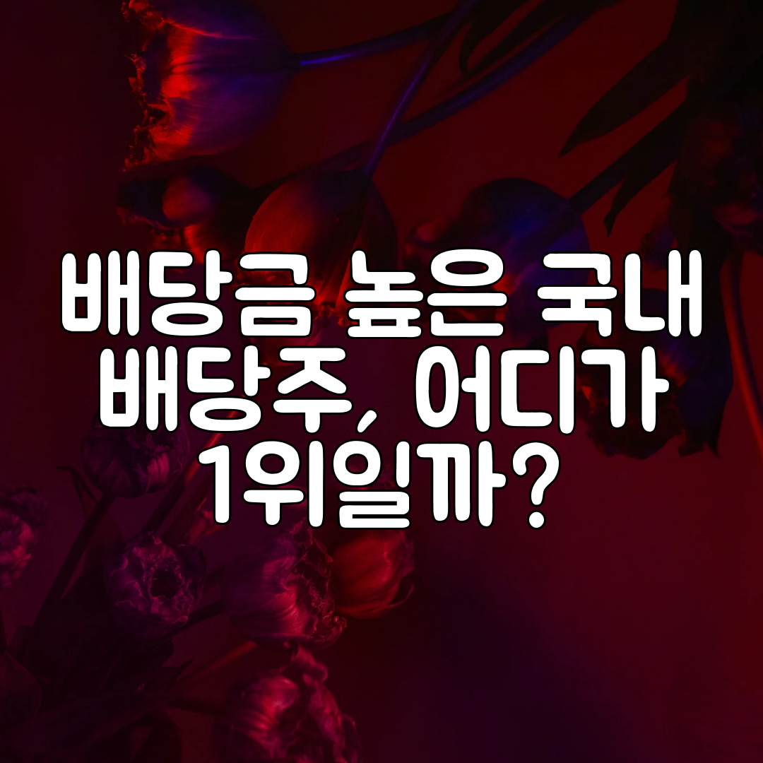 배당금 높은 국내 배당주, 어디가 1위일까
