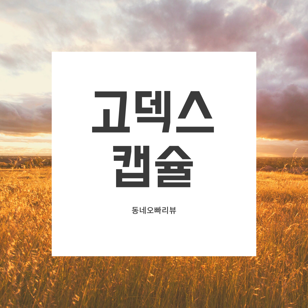  [ 간장약 ] 한번만 잘못 먹어도 망가질 수 있는 간