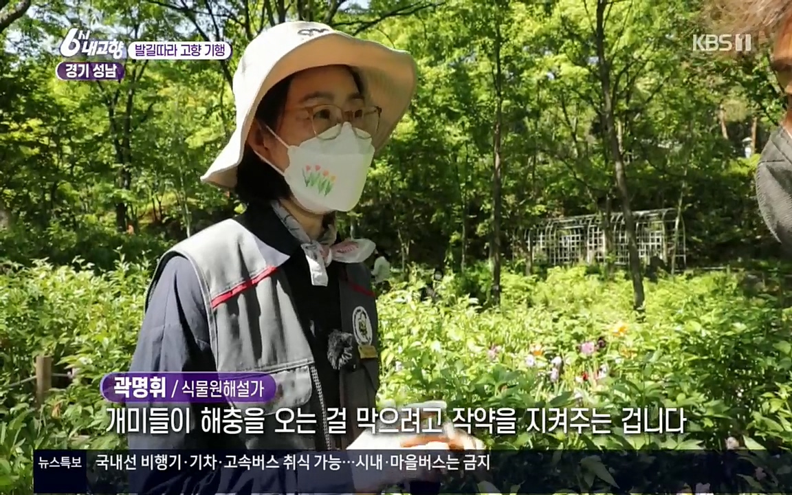 6시 내고향.E7530.220512p.H264-F1RST.mp4_20220516_190902.105.jpg