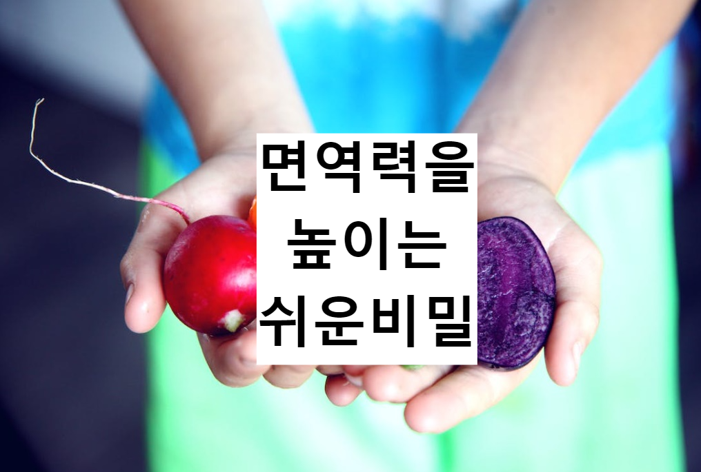  6가지 생활속 면역력을높이는방법 이것만 지켜주세요!