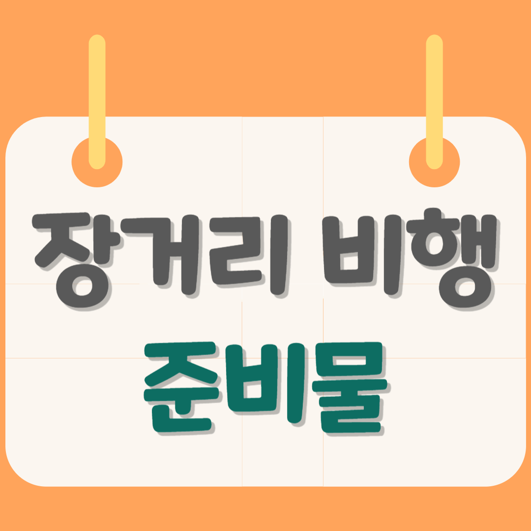 장거리-비행-준비