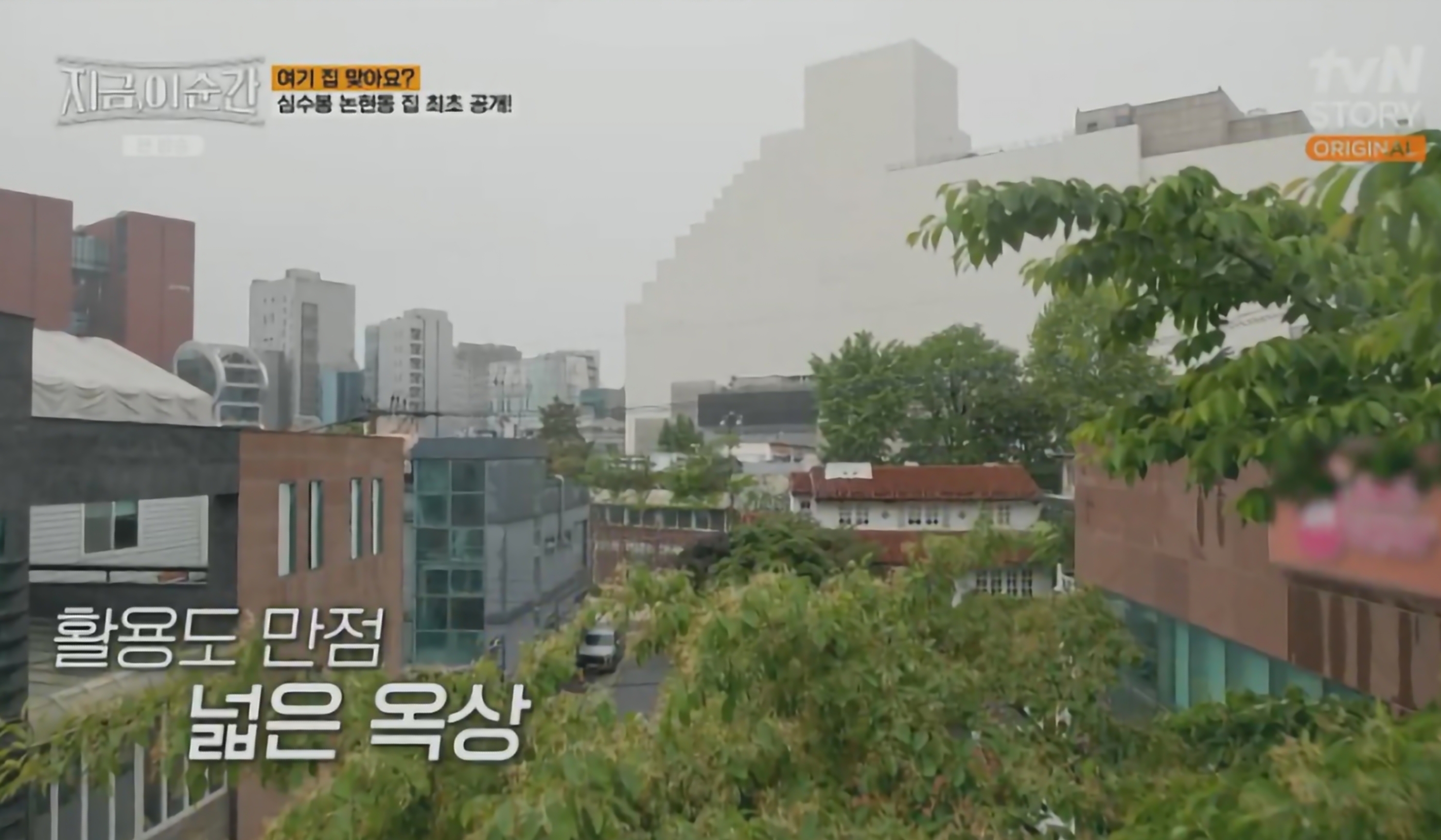 심수봉