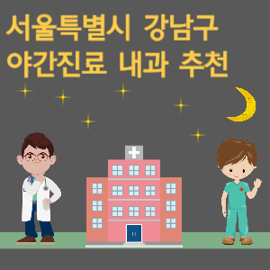 서울 강남구 내과 야간진료 병원 추천