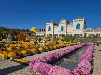 임실 가볼만한곳 베스트 10 숨겨진 명소_28