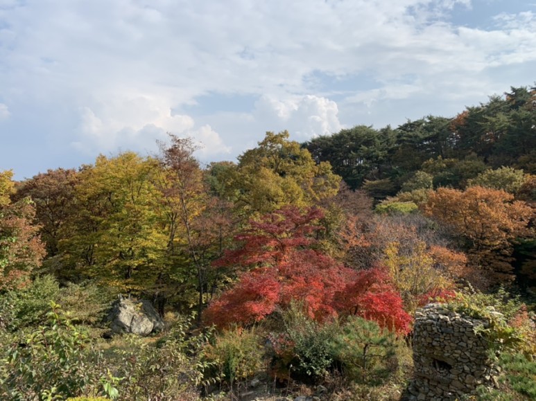 오서산 최단코스 [BAC 100대명산 / 보령 오서산 최단코스] 오서산자연휴양림 ~ 월정사 21