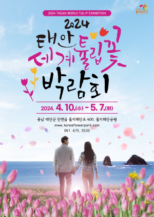 태안 튤립 홍보 포스터