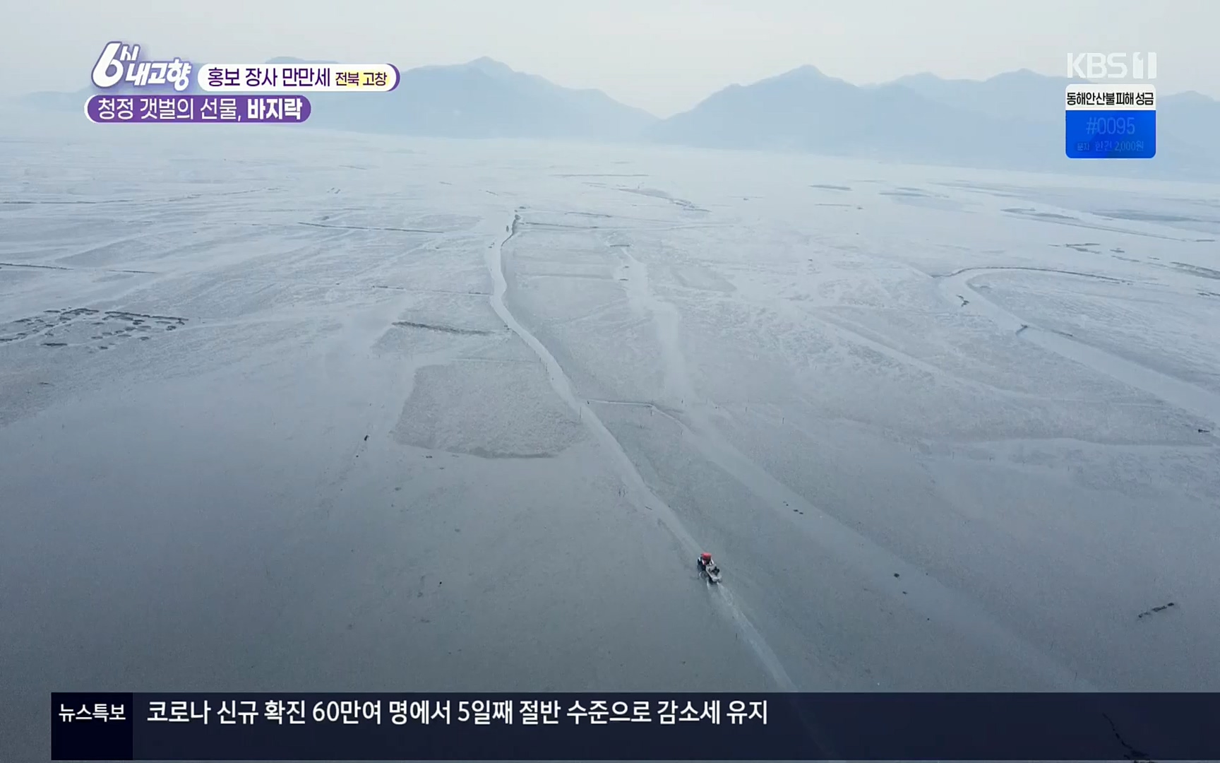 6시 내고향.E7494.220322p.H264-F1RST.mp4_20220326_182118.293.jpg