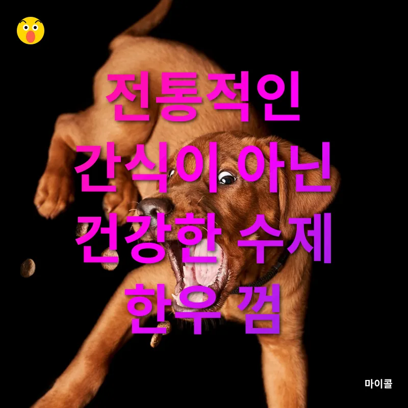 강아지 간식_1