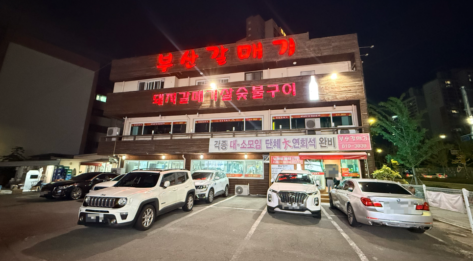 부산갈매기 사진 8