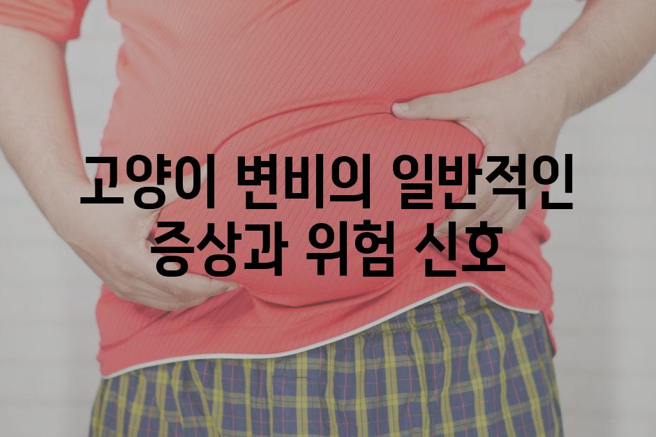 고양이 변비의 일반적인 증상과 위험 신호