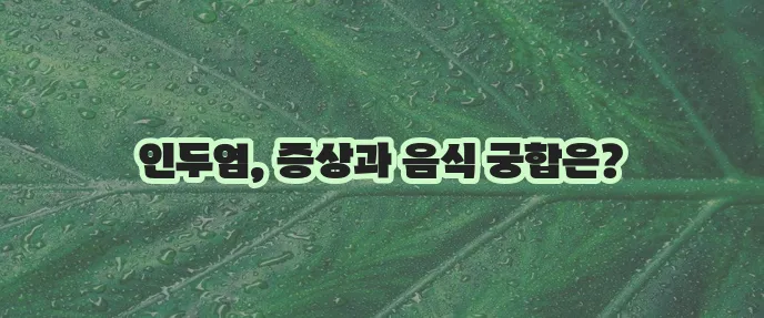 인두염 주요 증상은 무엇일까요 인두염에 좋은 음식과 나쁜 음식을 알아봅시다!