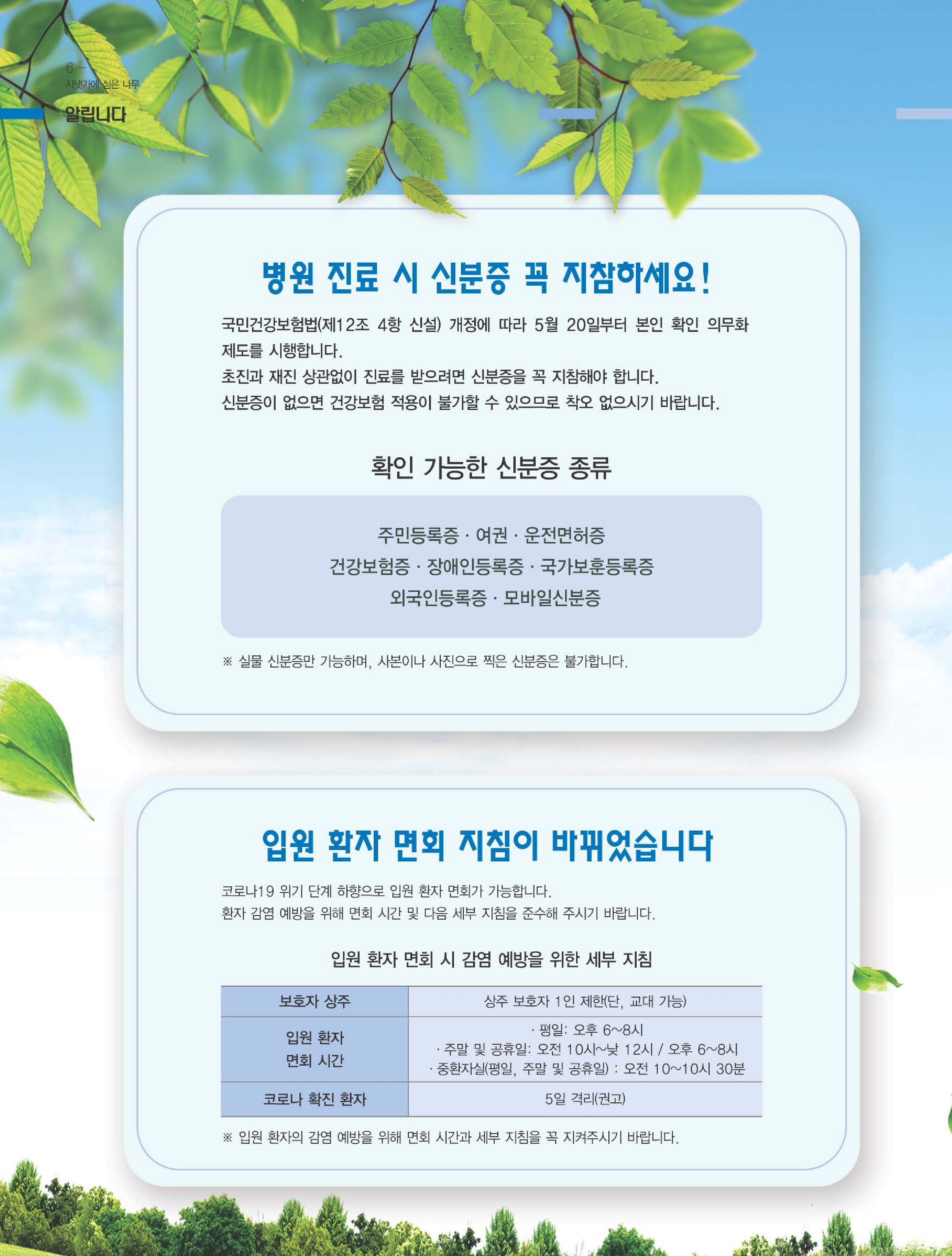 시냇가에심은나무 이미지