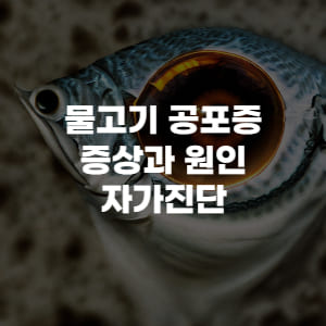 물고기 공포증 증상 원인과 진단