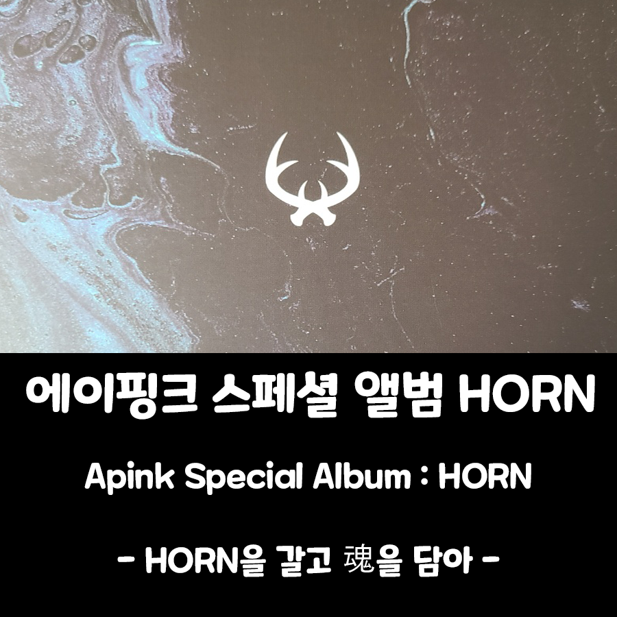  [에이핑크 앨범] Apink Special Album : HORN (Black Ver.)