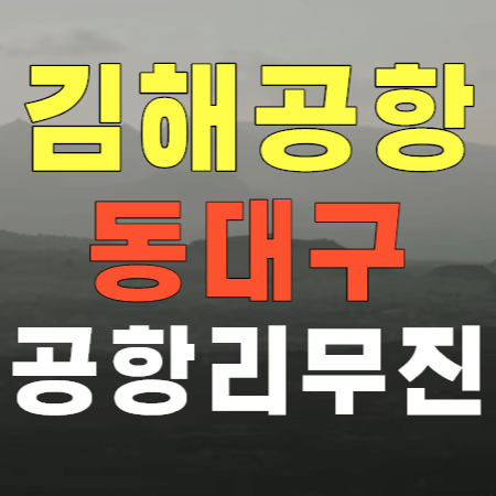 김해공항 동대구 공항리무진 버스 안내
