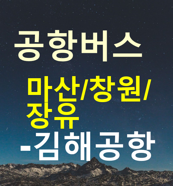  창원, 마산, 장유 to 김해공항 버스 / 노선도, 운행 시간표, 요금, 정류장, 예약 / 세인공항버스 / 남산동, 내동상가 / 김해국제공항